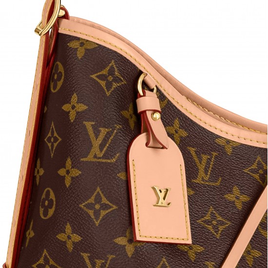 LOUIS VUITTON Monogram Canvas CarryAll MM