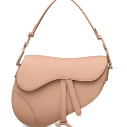 DIOR Saddle medium calfskin bag