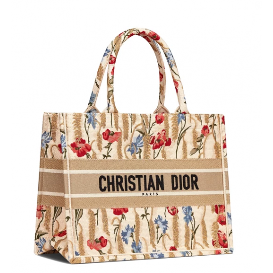 DIOR Small Book Tote