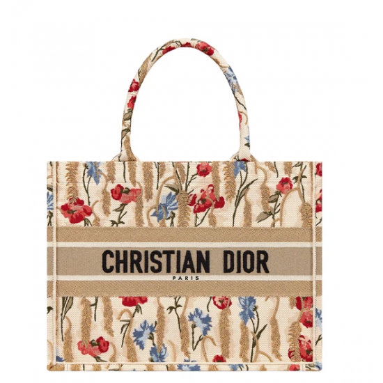 DIOR Small Book Tote